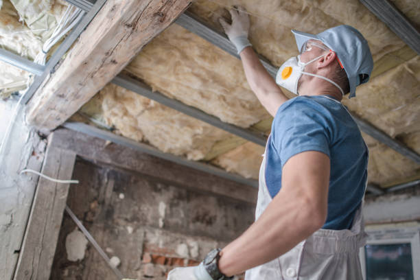 Best Energy Efficiency Insulation in Manteno, IL
